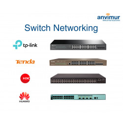 Networking Switch 2021