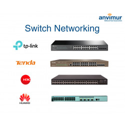 Networking Switch