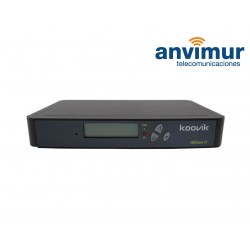 Digital HD modulator AV-COFDM Koovik