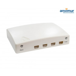 Anvimur 4 ports Wall outlet