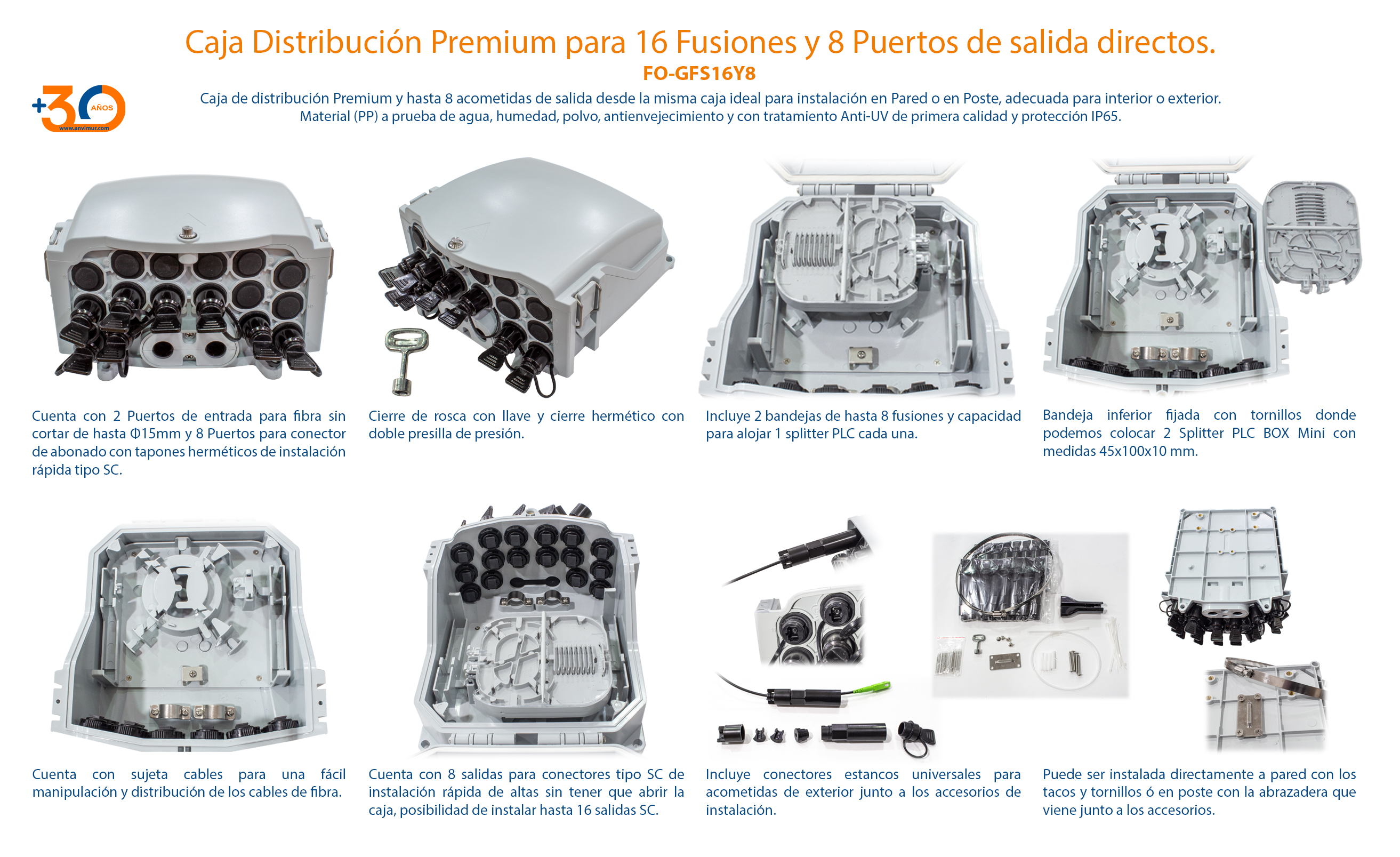 MODLEO GFS-16Y-8 2048px.jpg