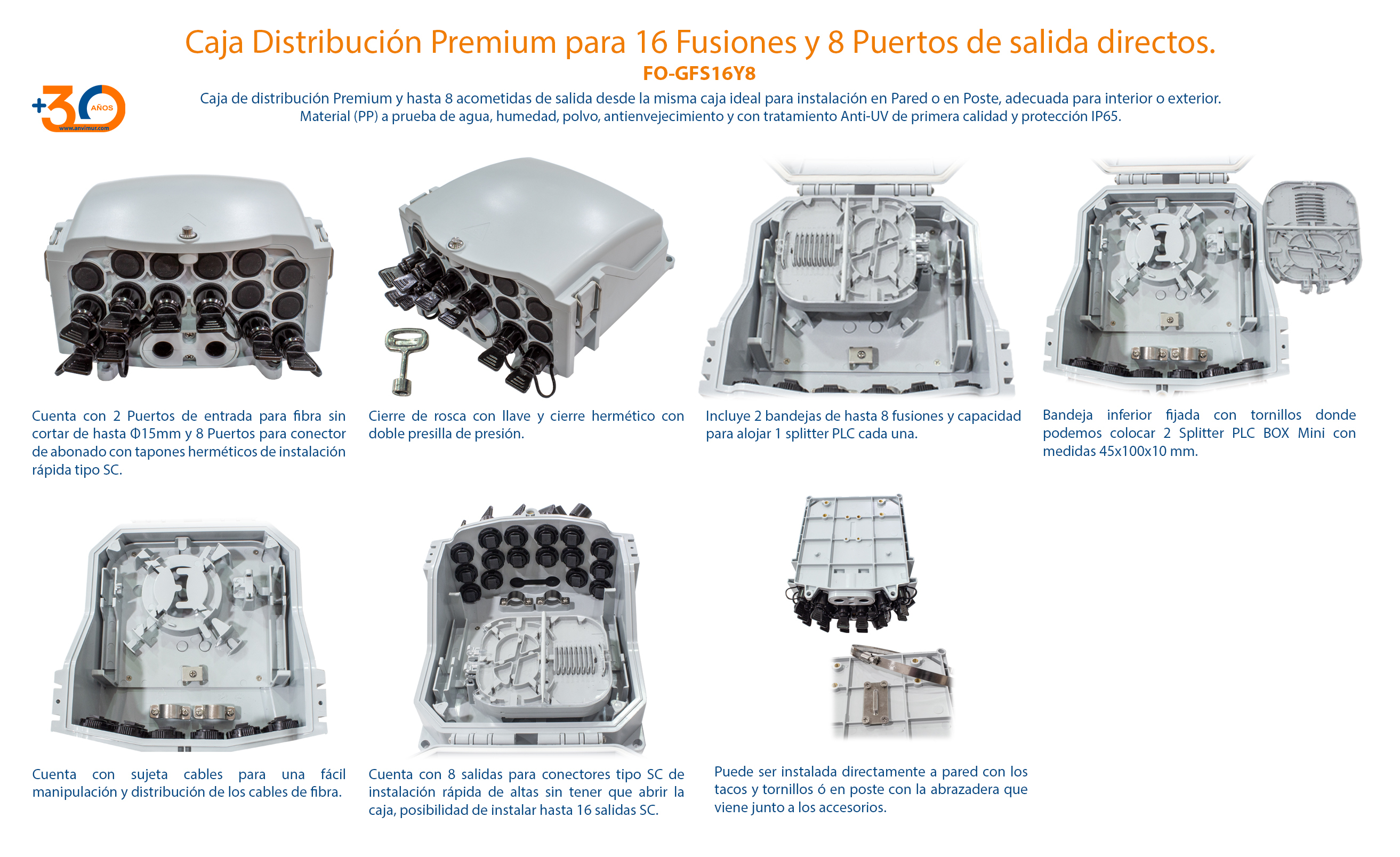 MODLEO GFS-16Y-8 2048px.jpg