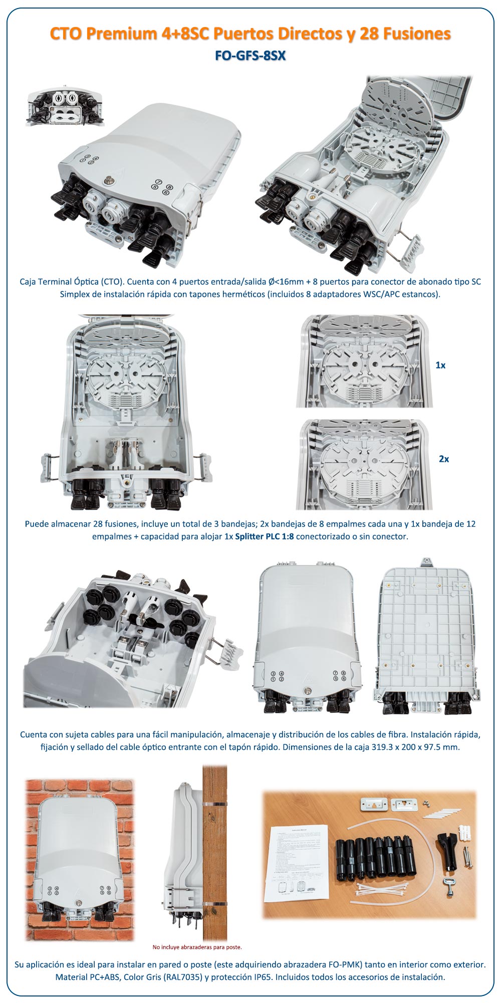 composicion-GFS-8SX.jpg